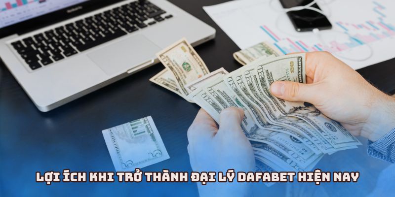 hoa hồng dafabet
